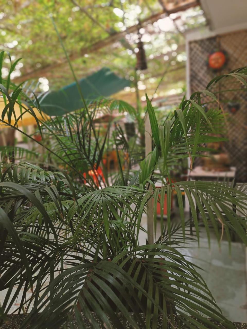 Srinekatan Heritage Villa Homestay 阿穆达巴 外观 照片